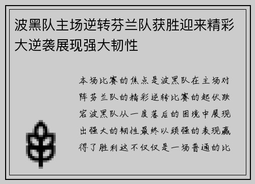 波黑队主场逆转芬兰队获胜迎来精彩大逆袭展现强大韧性